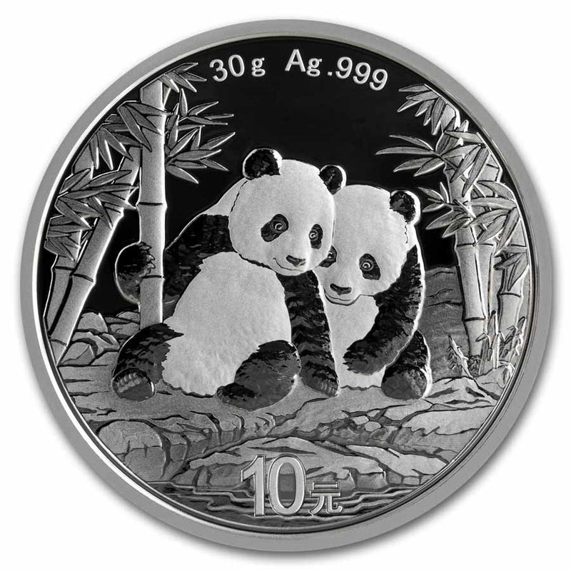 2026 China 30 gram Silver Panda