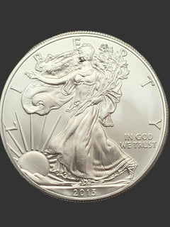 1oz American Silver Eagle 2013