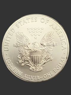 1oz American Silver Eagle 2013