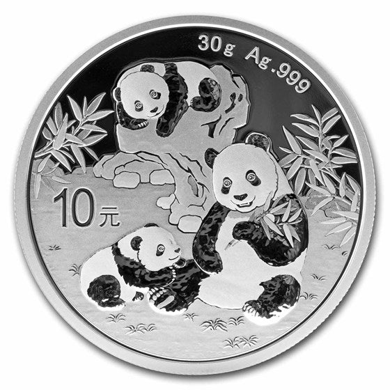 2025 China 30 gram Silver Panda